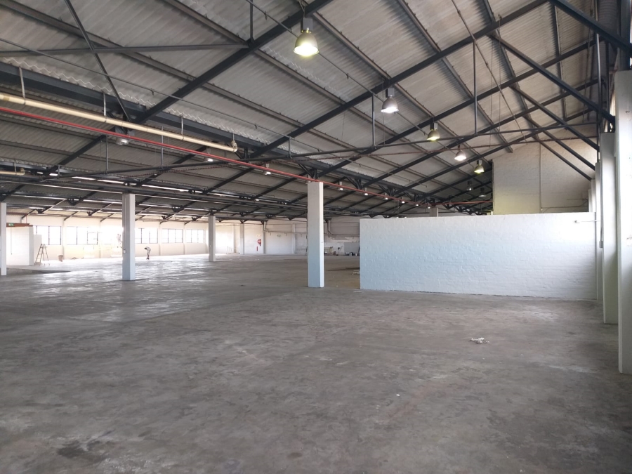 To Let Commercial Property for Rent in Paarden Eiland Western Cape